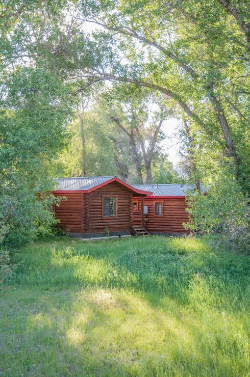 Teton Valley Cabins Driggs Rom bilde