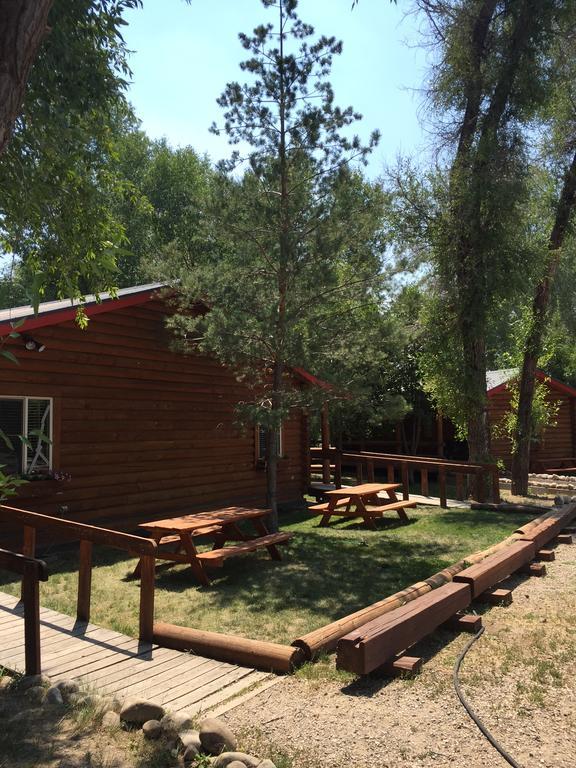 Teton Valley Cabins Driggs Eksteriør bilde
