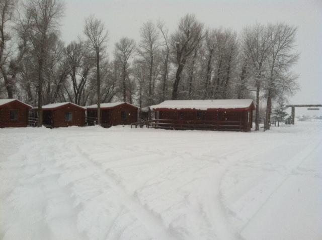 Teton Valley Cabins Driggs Eksteriør bilde